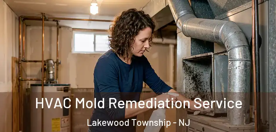  HVAC Mold Remediation Service Lakewood Township - NJ