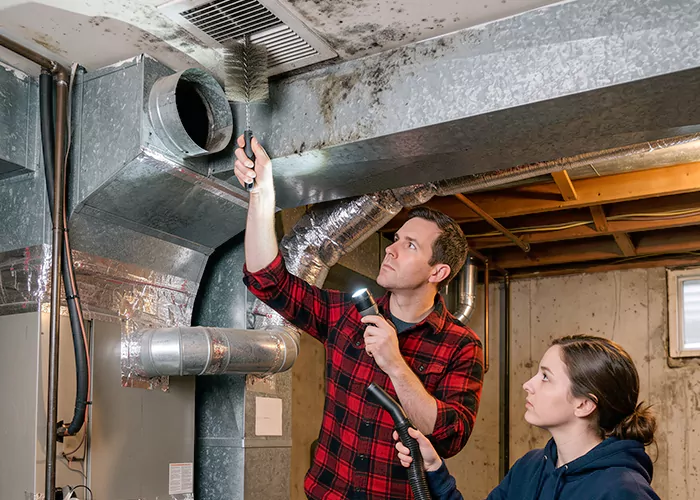 Premier HVAC Mold Remediation Company in Lakewood Township